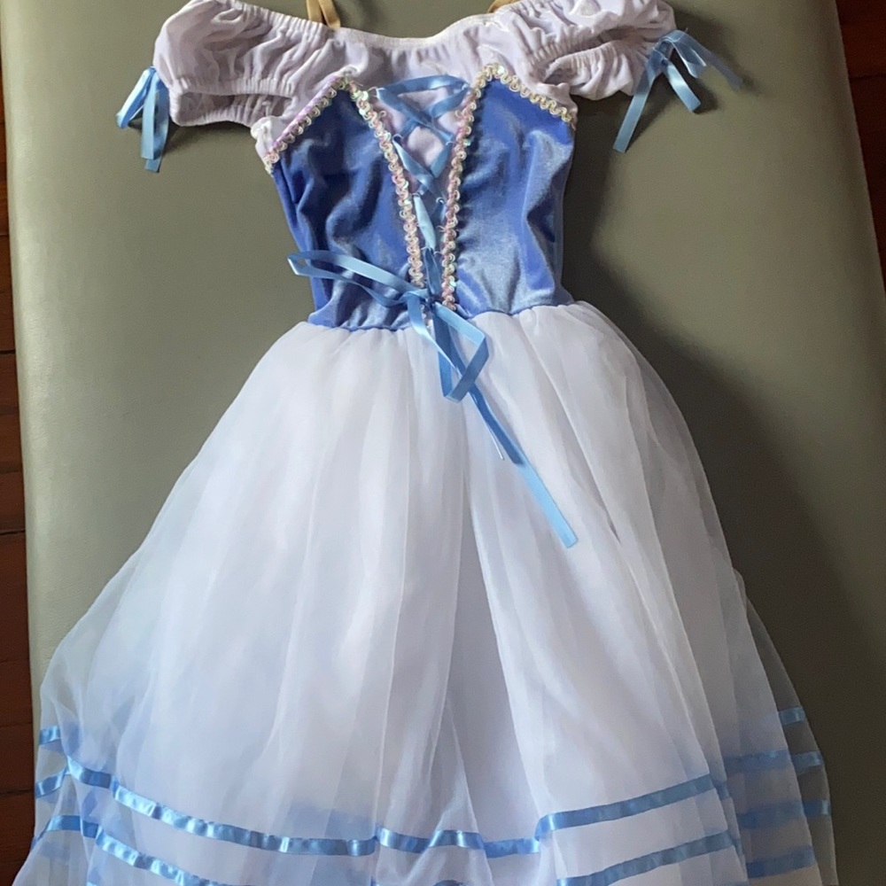 Ballet Maiden Costume